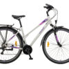 silver-purple