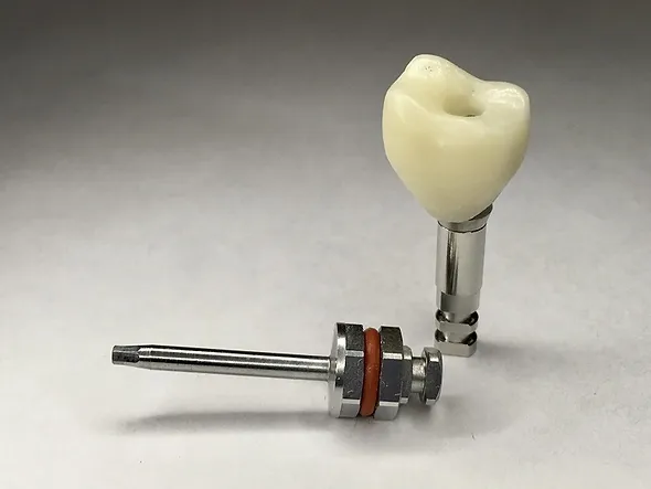 teeth