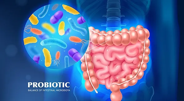 prebiotic