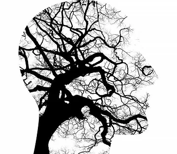 how mental health affects physical health