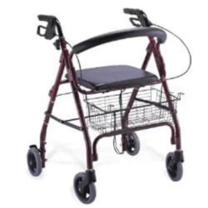 Best 10 Mobility Walkers for Elderly Seniors in India