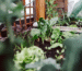 Nature-Based Therapy